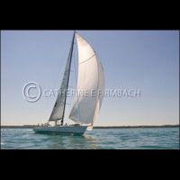 CEF8562 srgb copyrt.jpg